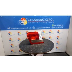 FANALE POST. PARTE INT. SX. 031 BMW SERIE 3 (E46) (09/01-09/05) 204D4 63218368759