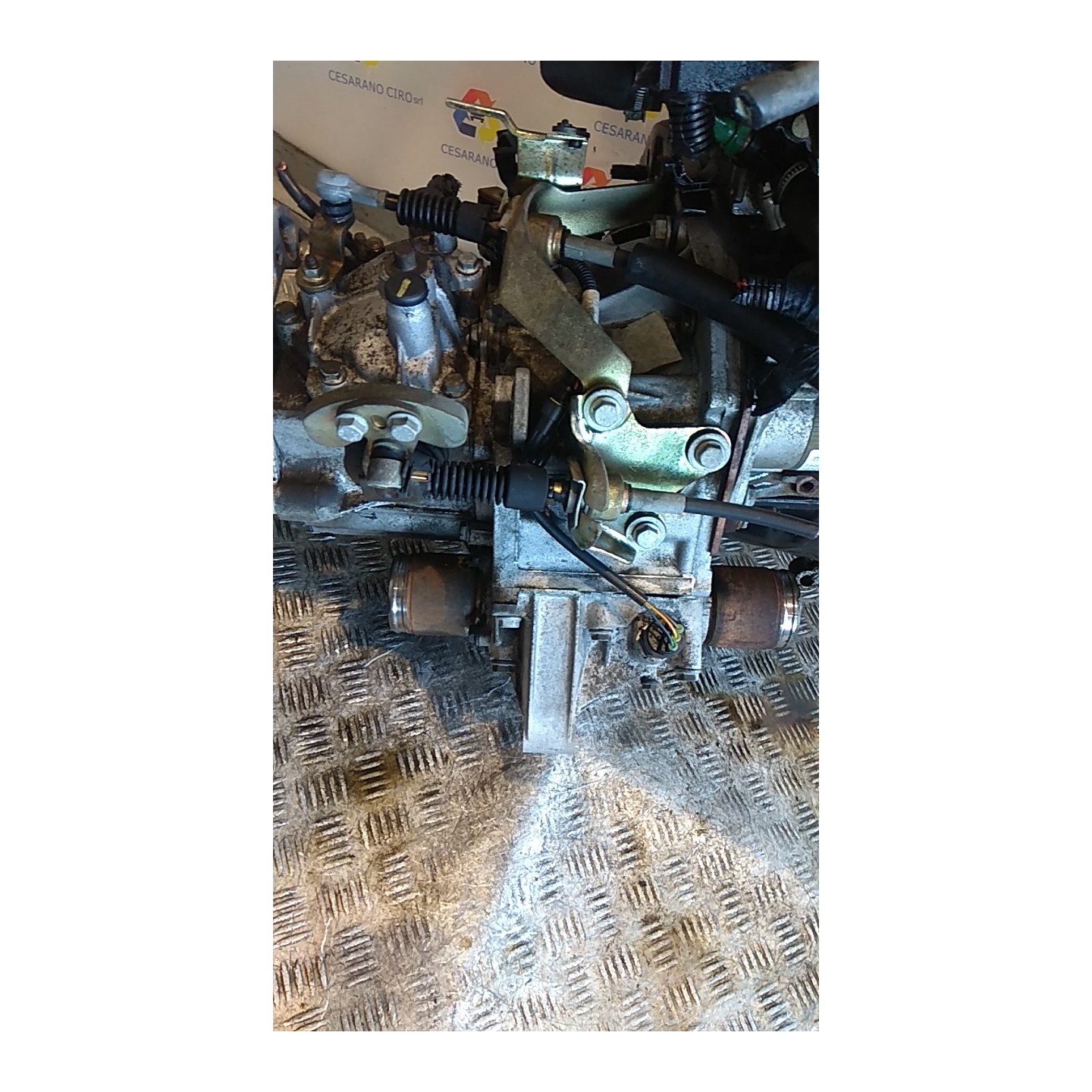 CAMBIO COMPL. 104 FIAT SEICENTO (1E) (02/98-07/05) 187A1000 55183059