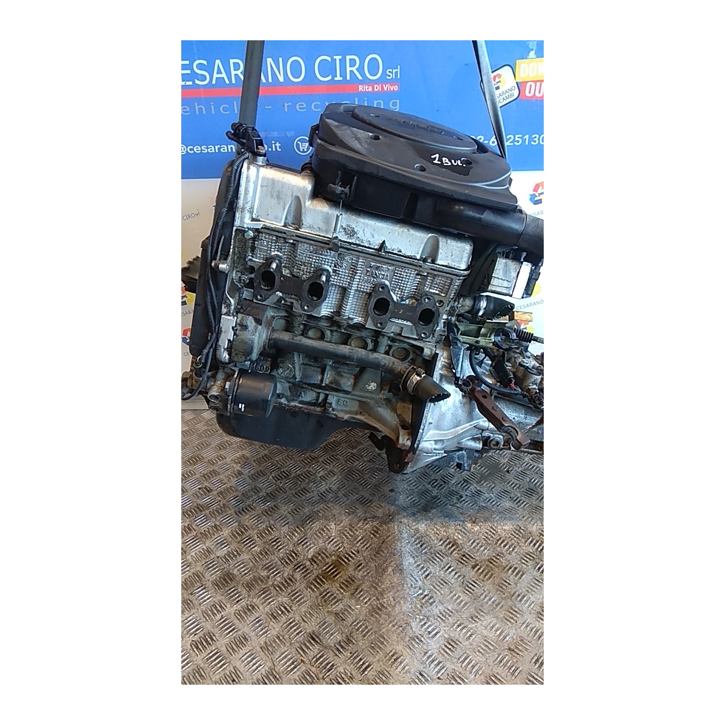 MOTORE SEMICOMPL. 105 FIAT SEICENTO (1E) (02/98-07/05) 187A1000 71718388