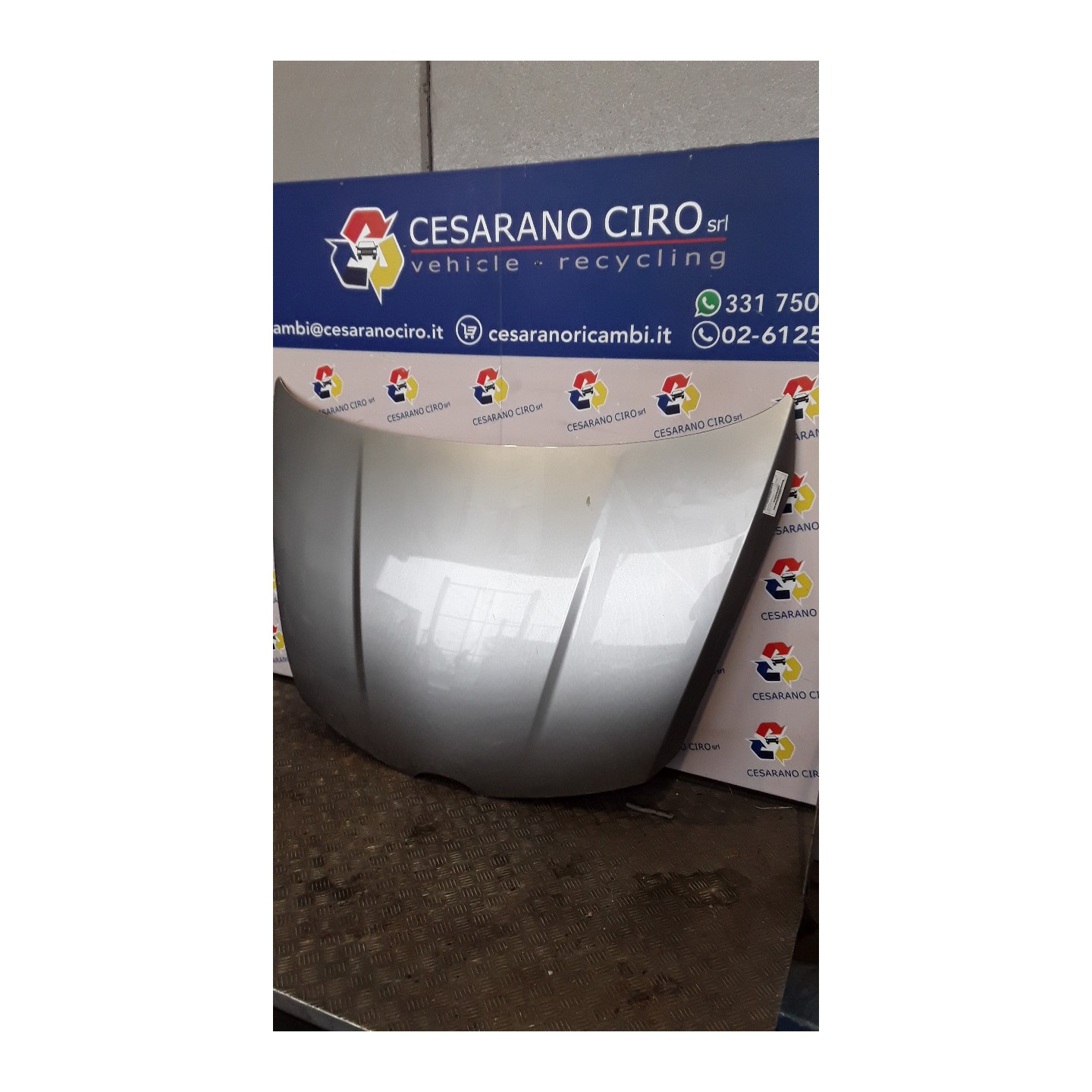 COFANO ANT. 038 MAZDA CX-7 (09/09-12/13) R2 EGY15231XD