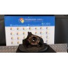 MONTANTE SOSP. ANT. DX. 039 FIAT PANDA VAN (2Q) (09/03-09/09) 188A8000 51857224