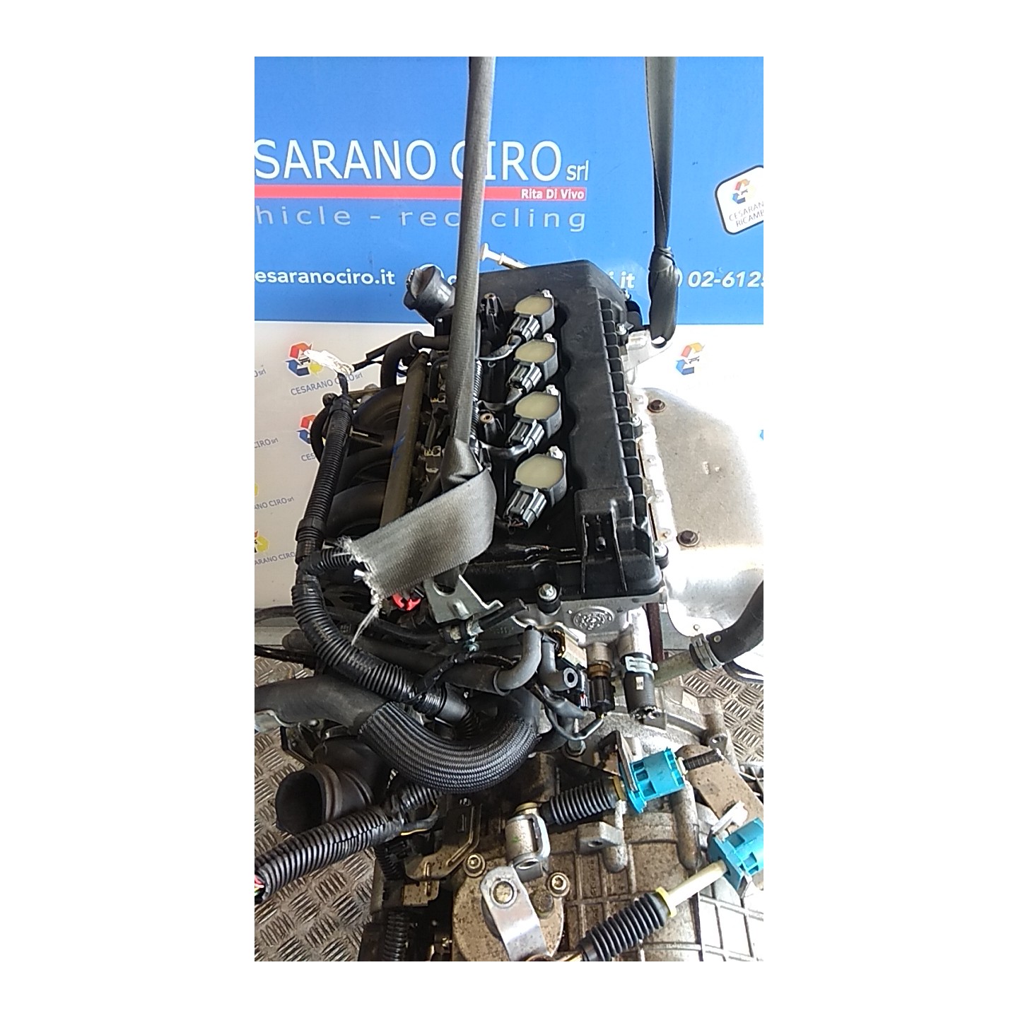 MOTORE COMPL. 009 MITSUBISHI COLT (06/04-12/09) 135930 MN131518