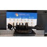 AMMORTIZZATORE ANT. SX. 089 MAZDA CX-7 (09/09-12/13) R2 EH6434900A