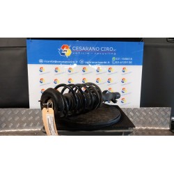 AMMORTIZZATORE ANT. SX. 113 CITROEN C3 PLURIEL (05/03-11/10) NFU 5202JZ