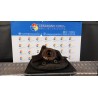 MONTANTE SOSP. ANT. DX. 127 FIAT 500L (73) (07/12-06/18) 199B4000 51910431
