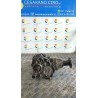 RIDUTTORE CAMBIO 026 HYUNDAI SANTA FE 2A SERIE (03/06-12/10 D4EB NB6424071026001