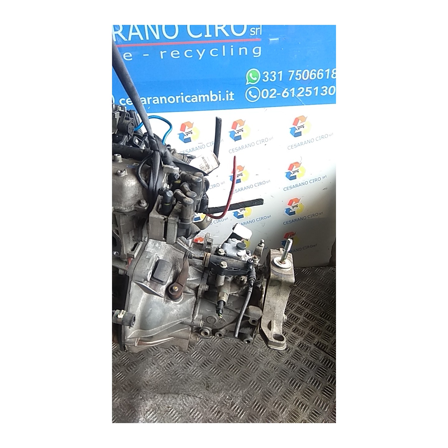 CAMBIO COMPL. 064 LANCIA YPSILON (TE) (09/06-12/08) 188A4000 55205237