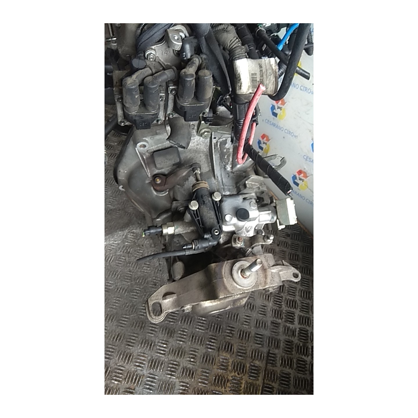 CAMBIO COMPL. 064 LANCIA YPSILON (TE) (09/06-12/08) 188A4000 55205237
