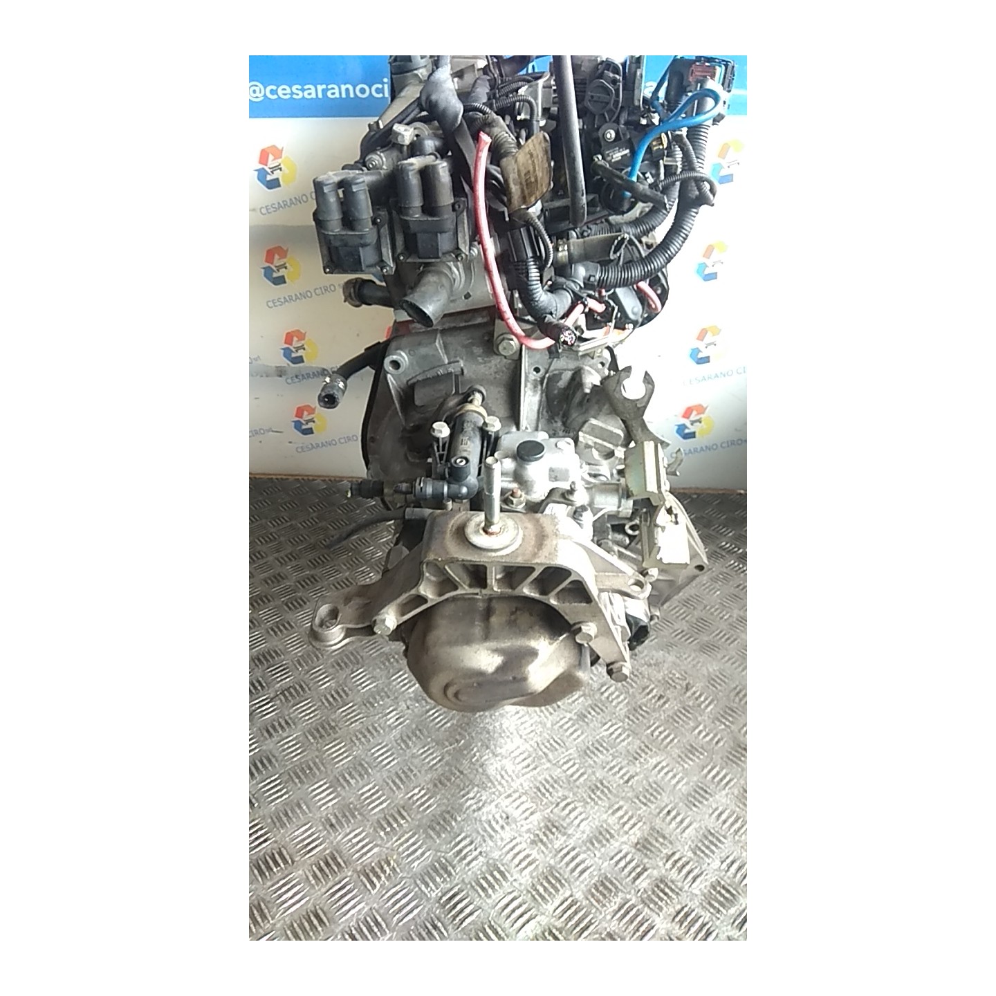 CAMBIO COMPL. 064 LANCIA YPSILON (TE) (09/06-12/08) 188A4000 55205237