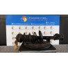 AMMORTIZZATORE ANT. DX. 011 FIAT PANDA VAN (33) (06/12-09/18) 312B2000 51926523