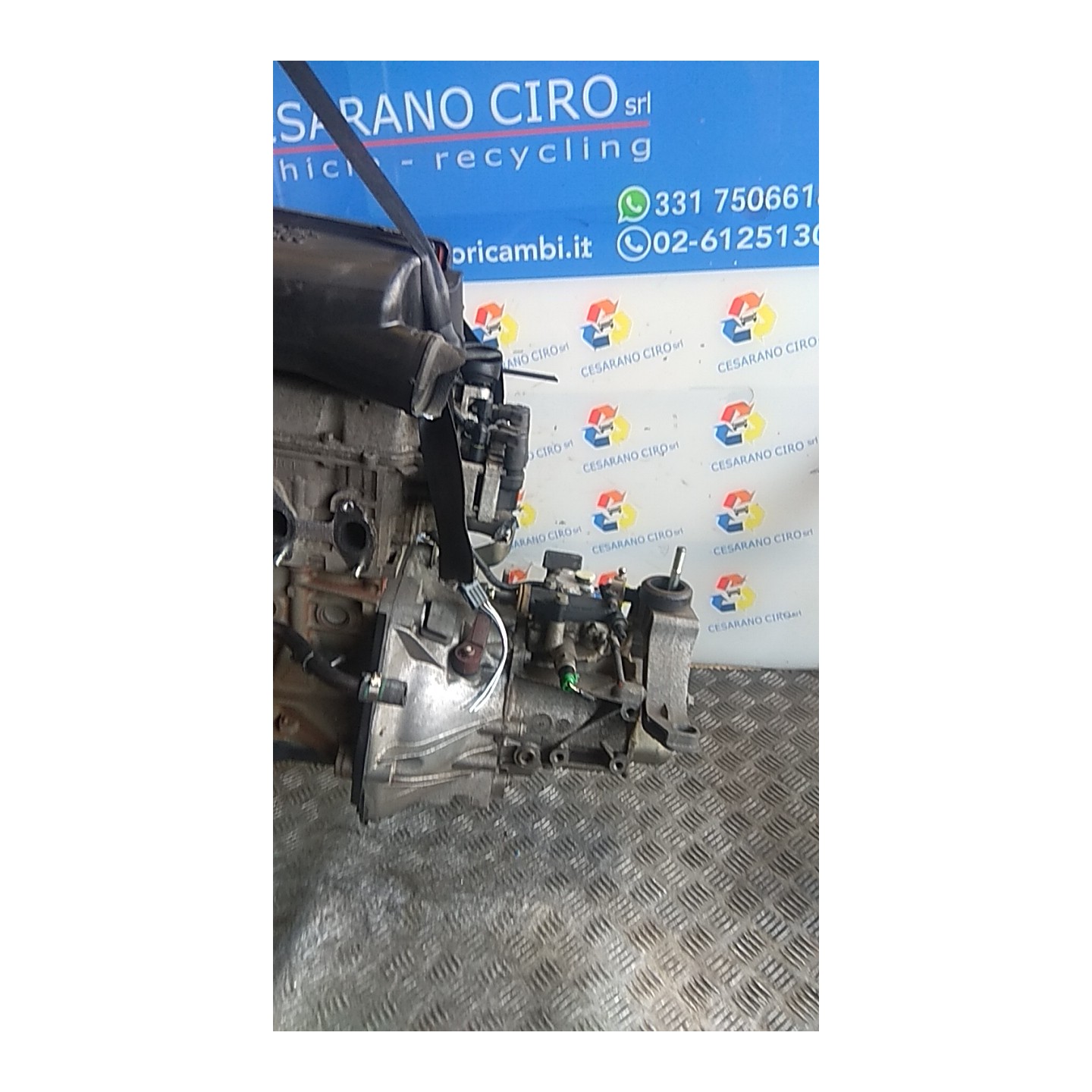 CAMBIO COMPL. 039 LANCIA YPSILON (TE) (09/06-12/08) 188A4000 55205237