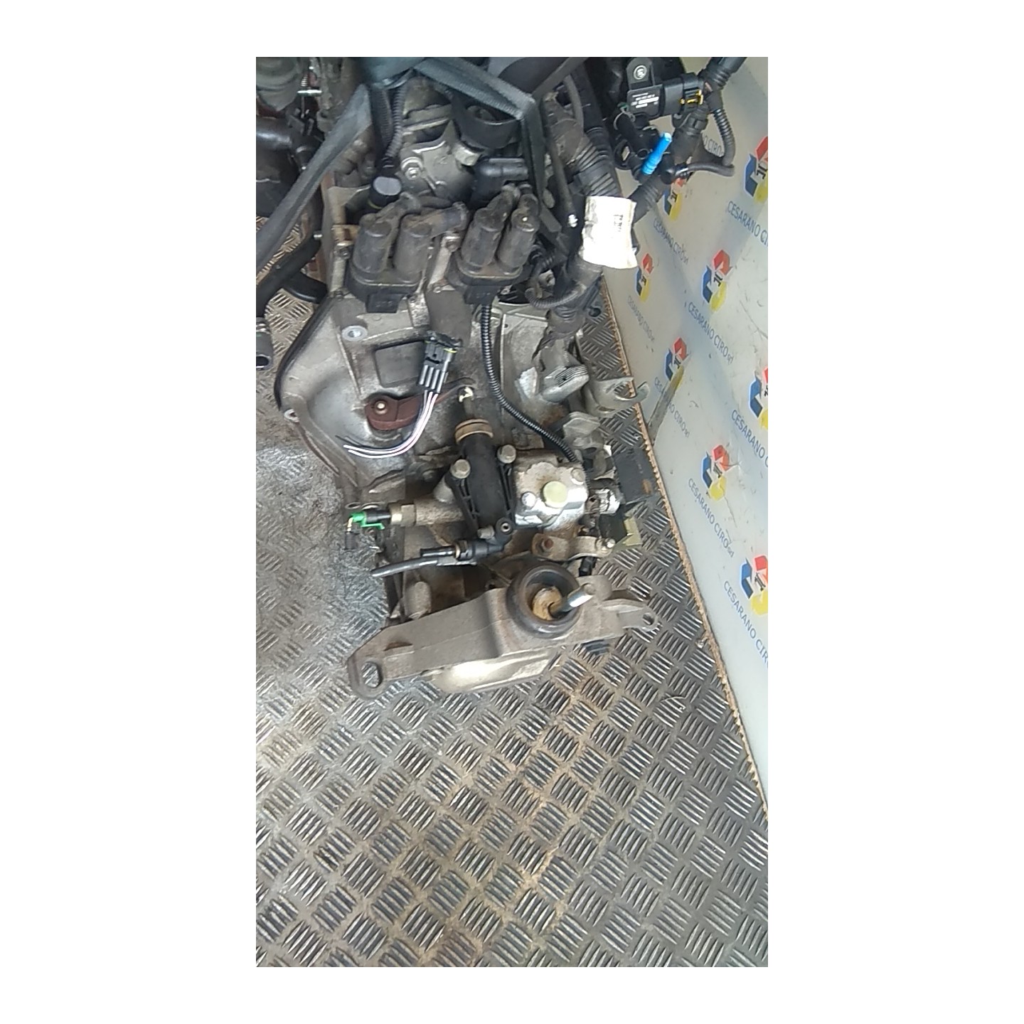 CAMBIO COMPL. 039 LANCIA YPSILON (TE) (09/06-12/08) 188A4000 55205237