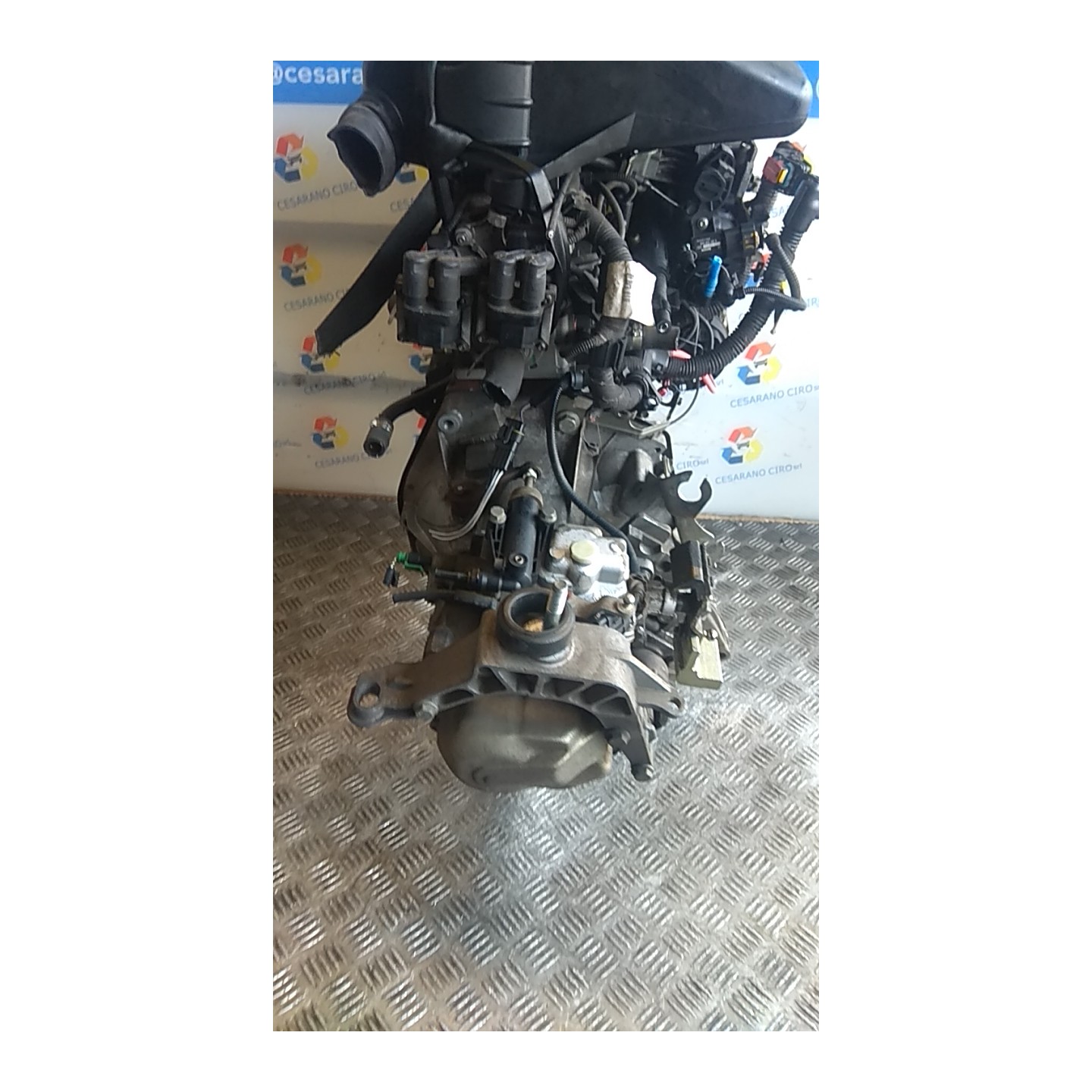 CAMBIO COMPL. 039 LANCIA YPSILON (TE) (09/06-12/08) 188A4000 55205237