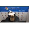 POMPA CARBURANTE C/TRASDUTTORE (GALLEGGIANTE) 081 SUBARU IMPREZA 3A SERIE (10/07-) EL15 42021AG100