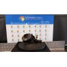 MONTANTE SOSP. ANT. DX. 013 RENAULT CLIO 2A SERIE (05/01-11/10) D4FB7 8200207313