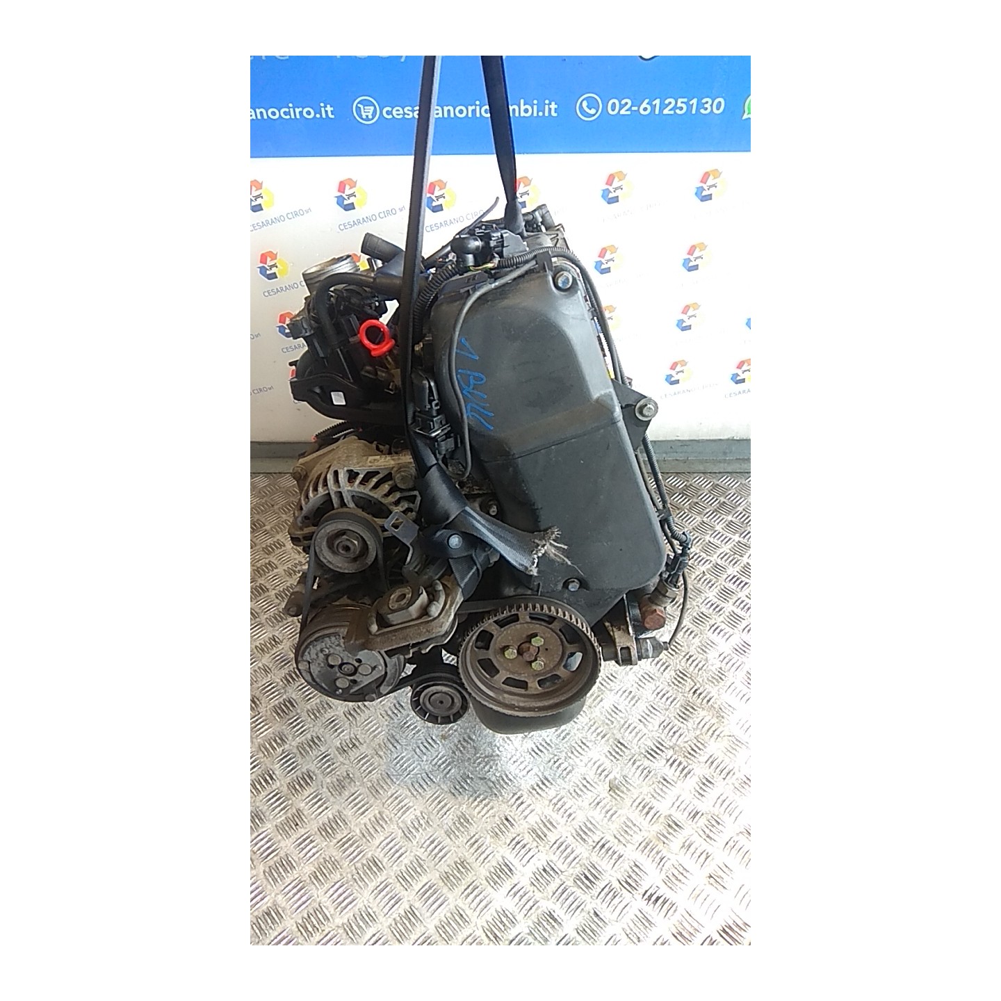 MOTORE SEMICOMPL. 116 FIAT SEICENTO (1E) (02/98-07/05) 187A1000 71718388