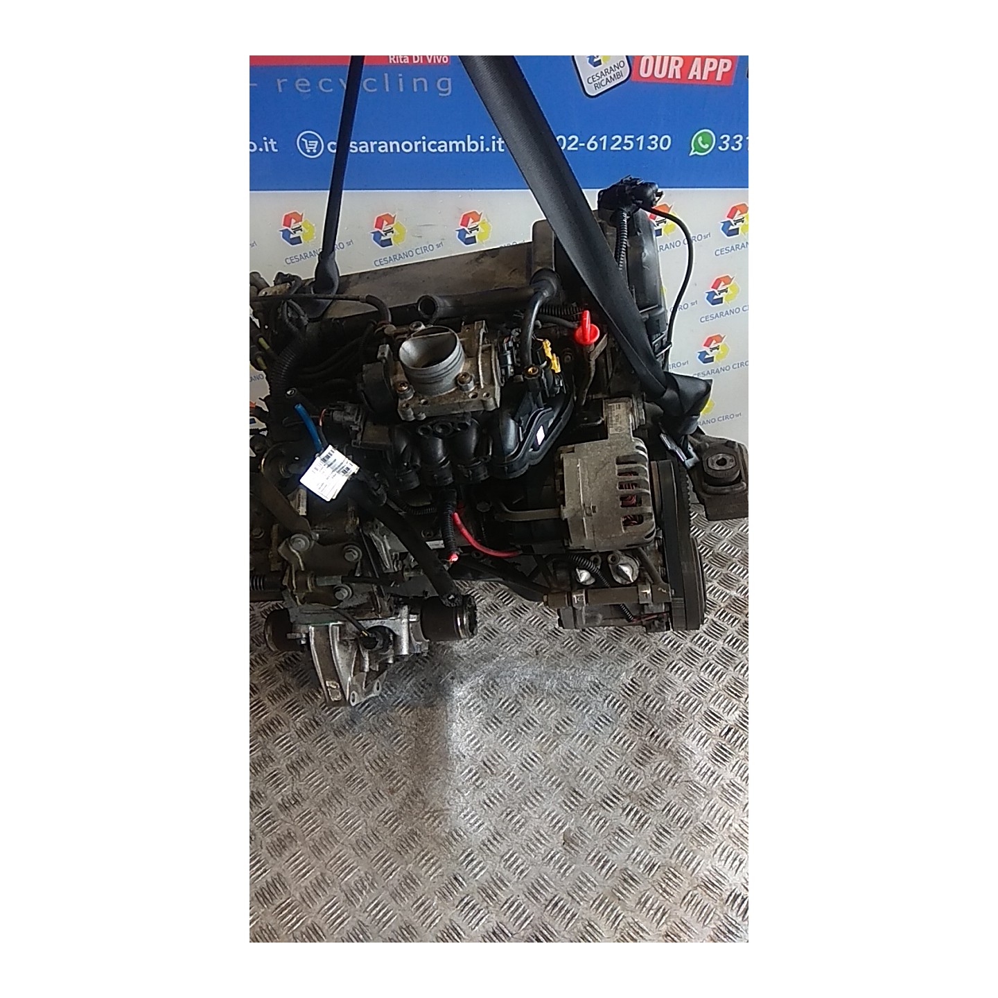 MOTORE SEMICOMPL. 116 FIAT SEICENTO (1E) (02/98-07/05) 187A1000 71718388