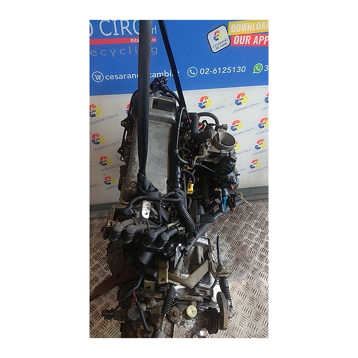 MOTORE SEMICOMPL. 116 FIAT SEICENTO (1E) (02/98-07/05) 187A1000 71718388