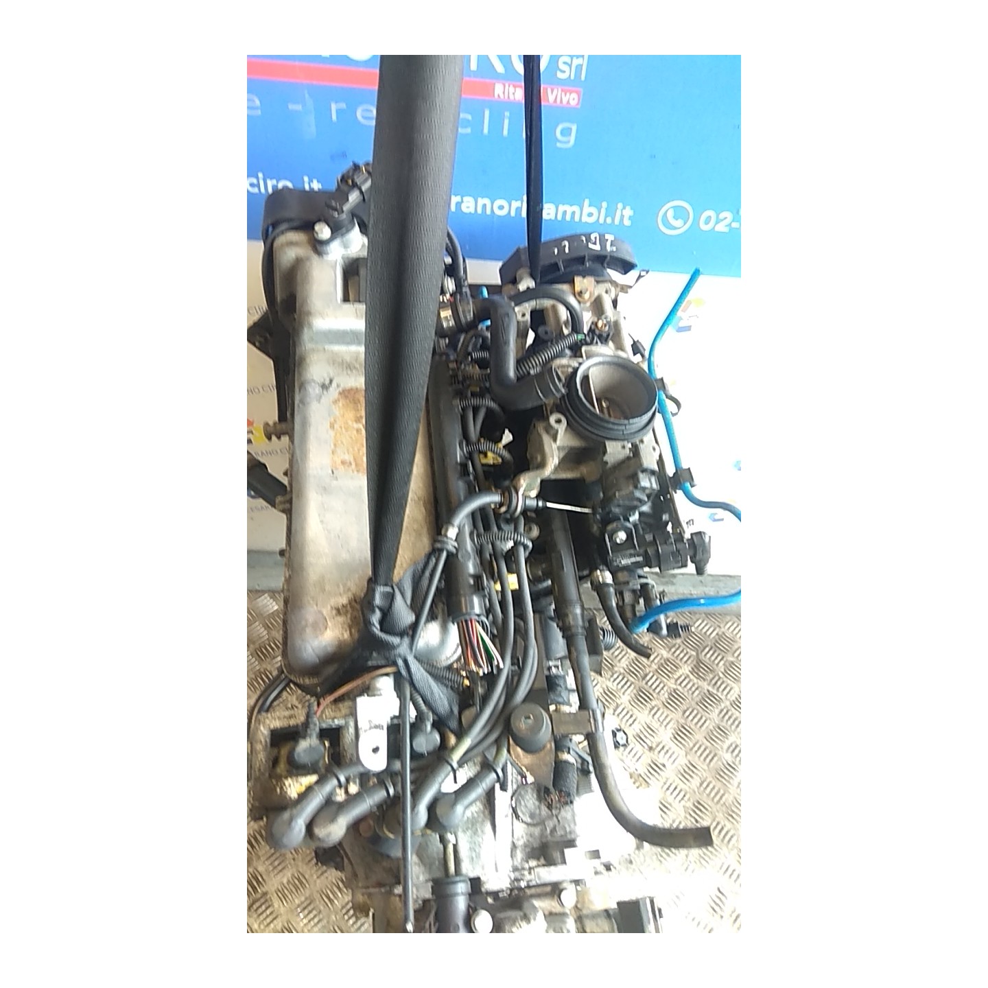 MOTORE COMPL. 064 FIAT PUNTO (2U) (07/03-01/07) 188A4000 71739178