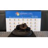 MONTANTE SOSP. ANT. SX. 045 PEUGEOT BIPPER (10/08-) 199A9000 1617293280