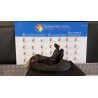 MONTANTE SOSP. ANT. SX. 078 PEUGEOT 206 PLUS (02/09-) HFX 364675