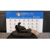 MONTANTE SOSP. ANT. SX. 078 PEUGEOT 206 PLUS (02/09-) HFX 364675
