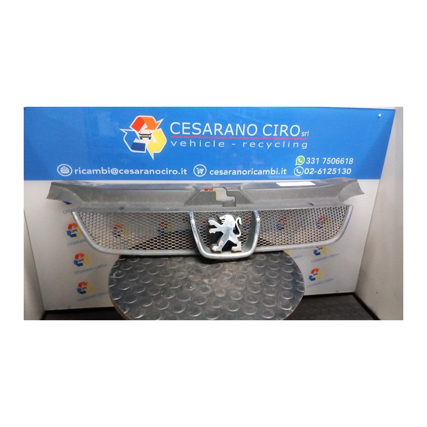 GRIGLIA 086 PEUGEOT 406 (04/99-05/04) RHZ 7804J2
