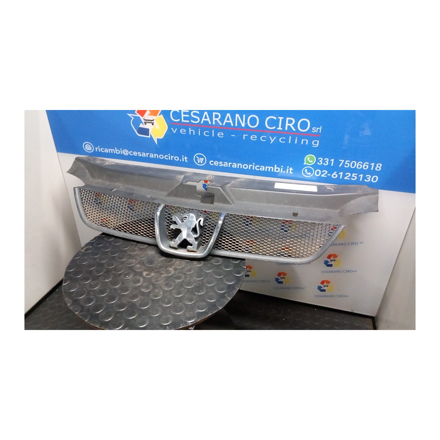 GRIGLIA 086 PEUGEOT 406 (04/99-05/04) RHZ 7804J2