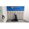 PARAFANGO ANT. SX. 115 HYUNDAI I30 (07/07-) D4FB 663112L030