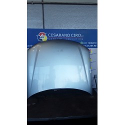 COFANO ANT. 103 PEUGEOT 406 (04/99-05/04) RHZ 7901P0