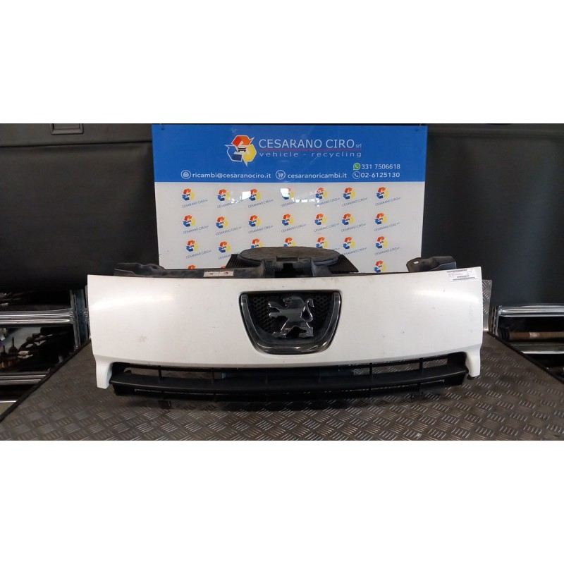 GRIGLIA 113 PEUGEOT EXPERT FURGONE 3A SERIE (02/12 9H07 1608230580