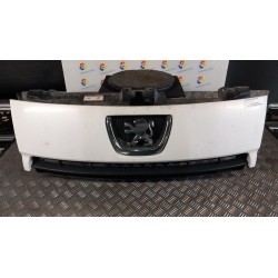 GRIGLIA 113 PEUGEOT EXPERT FURGONE 3A SERIE (02/12 9H07 1608230580