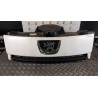 GRIGLIA 113 PEUGEOT EXPERT FURGONE 3A SERIE (02/12 9H07 1608230580