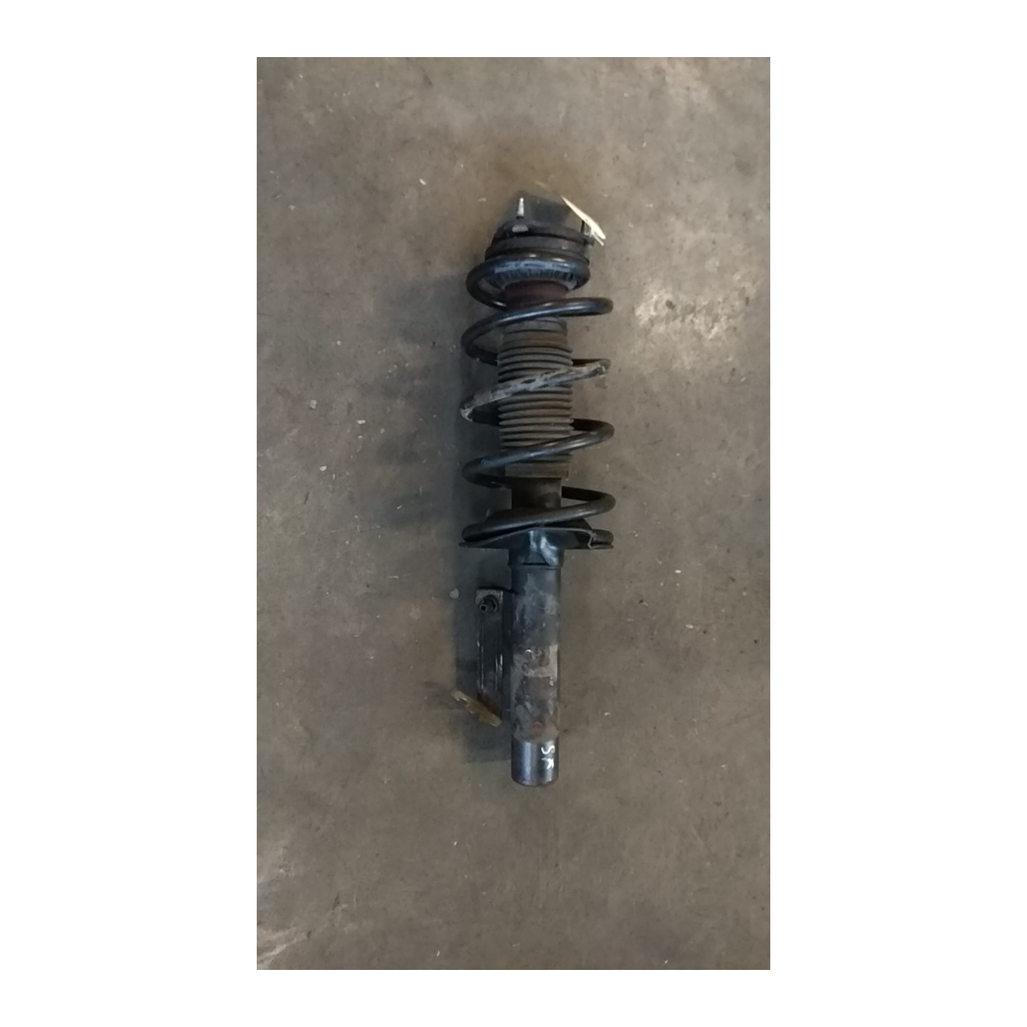 AMMORTIZZATORE ANT. SX. 034 FORD TRANSIT CONNECT (TC7) (12/02-) P9PC 1520657