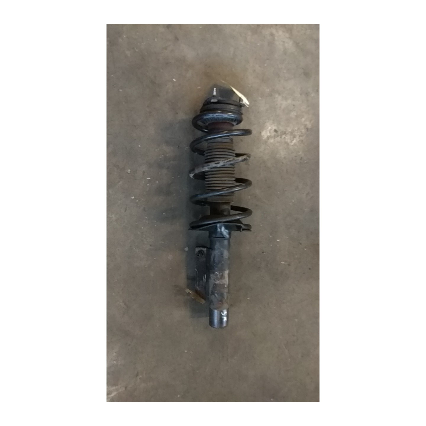 AMMORTIZZATORE ANT. SX. 034 FORD TRANSIT CONNECT (TC7) (12/02-) P9PC 1520657
