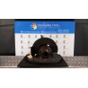 MONTANTE SOSP. ANT. SX. 013 CHEVROLET (DAEWOO) SPARK (M300) (01/10-12/15) B10D1 94555796