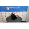 COMPRESSORE A/C 021 HYUNDAI I10 (01/20-) G3LD 97701K7000