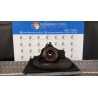 MONTANTE SOSP. ANT. SX. 067 FIAT BRAVO (1U) (06/95-01/99) 182A4000 46480639