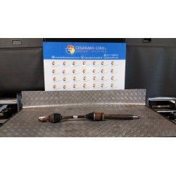 SEMIALBERO ANT. COMPL. DX. 074 FORD FIESTA (CCN) (11/12-)...