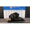 AMMORTIZZATORE ANT. STABILIMENTO PRODUZ.A SX. 024 DACIA SANDERO (07/08-04/13) K7JA7 8200807029