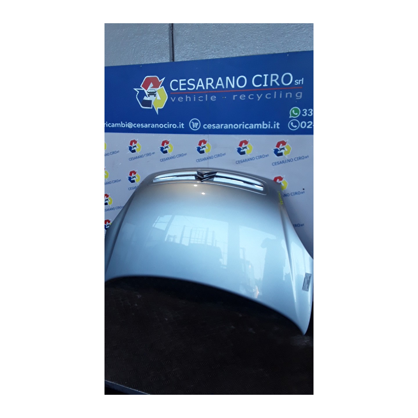 COFANO ANT. 032 CITROEN XSARA PICASSO (12/99-01/10) NFV 7901H4