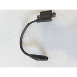 Bobina Yamaha Xenter Xenter 125 