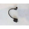 Bobina Yamaha Xenter Xenter 125 