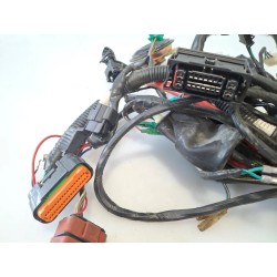 Cablaggio impianto elettrico telaio Kymco Agility 200 R16+ (E5) Agility 200 R16+ 