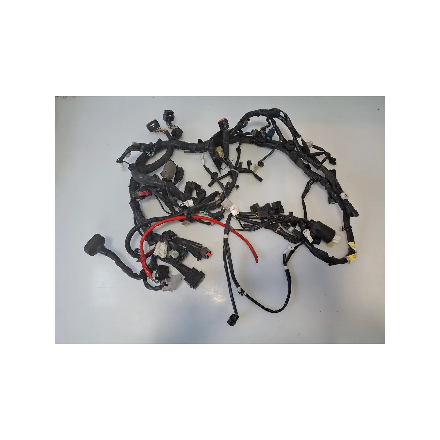 Cablaggio impianto elettrico telaio Yamaha T-Max 530 (E4) (17-) T-Max 530 SX 