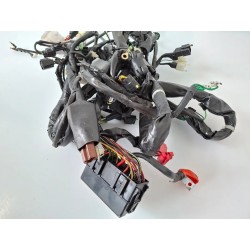 Cablaggio impianto elettrico telaio Honda SH 150 i (E5) ABS Start & Stop my24 SH 150 i ABS 