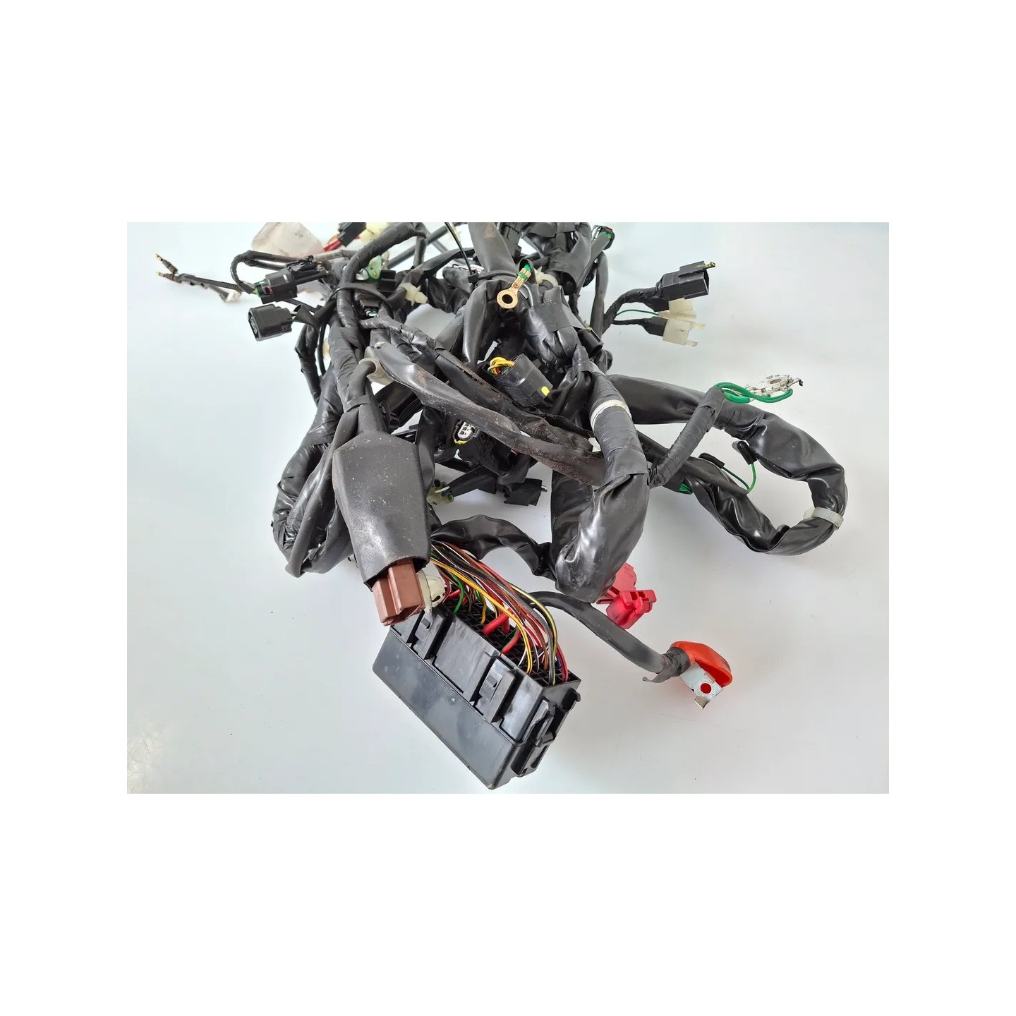 Cablaggio impianto elettrico telaio Honda SH 150 i (E5) ABS Start & Stop my24 SH 150 i ABS 