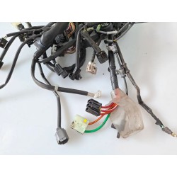 Cablaggio impianto elettrico telaio Honda SH 150 i (E5) ABS Start & Stop my24 SH 150 i ABS 