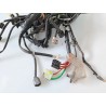 Cablaggio impianto elettrico telaio Honda SH 150 i (E5) ABS Start & Stop my24 SH 150 i ABS 