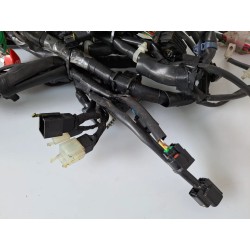 Cablaggio impianto elettrico telaio Honda SH 150 i (E5) ABS Start & Stop my24 SH 150 i ABS 